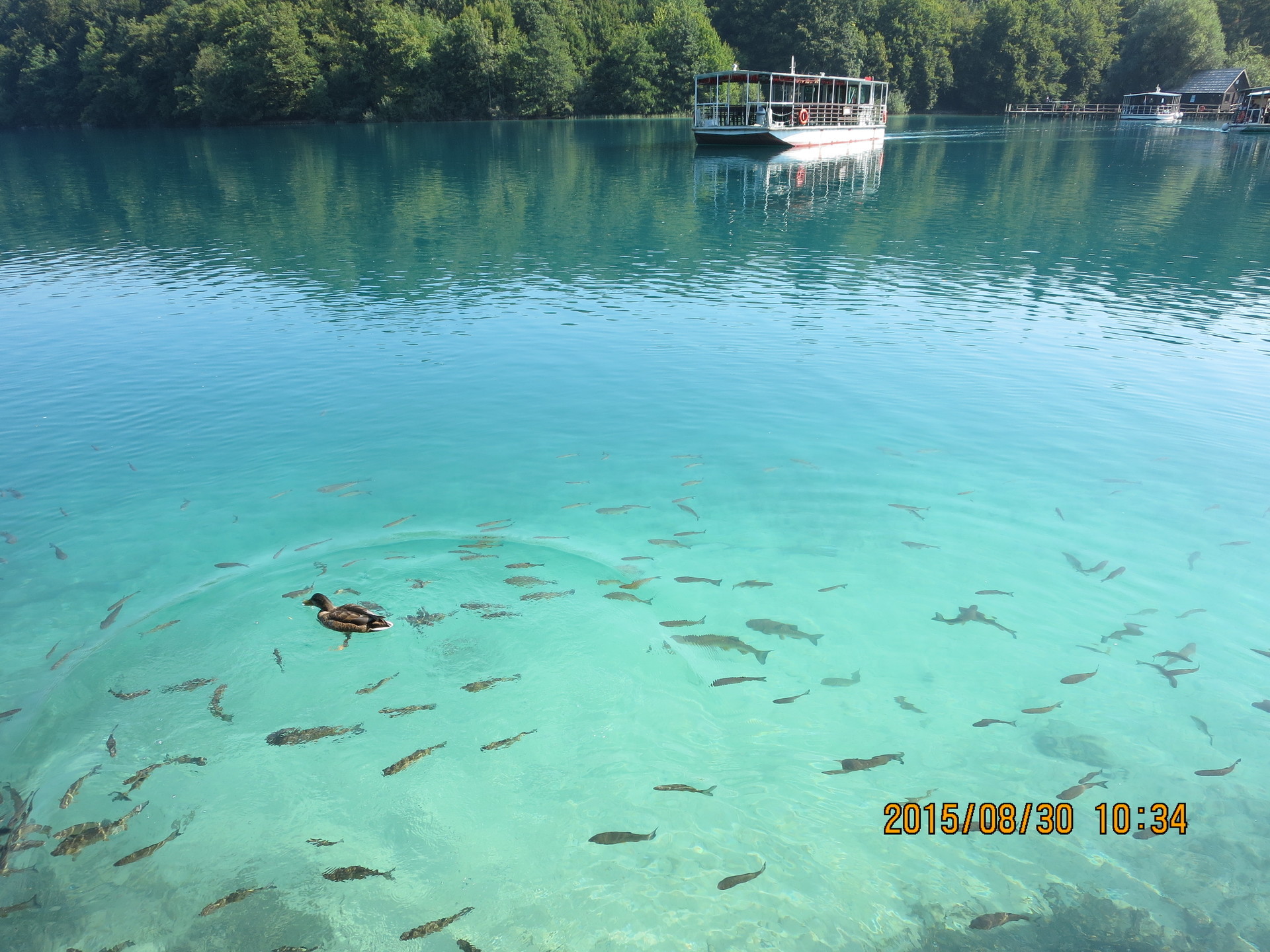０歳子連れクロアチア旅行 プリトヴィツェ湖群国立公園編 育児と旅するおげ
